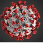 Basic Understandings of Coronavirus Disease 2019