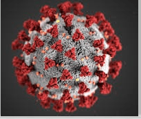 Basic Understandings of Coronavirus Disease 2019