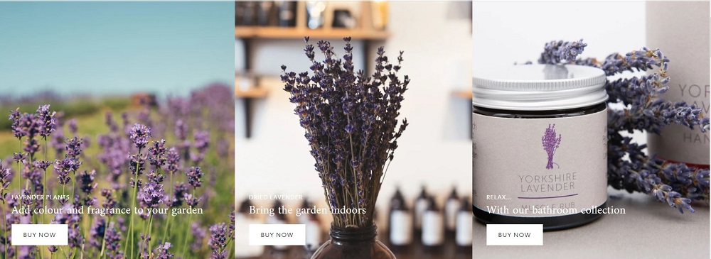 lavender-world-voucher-code