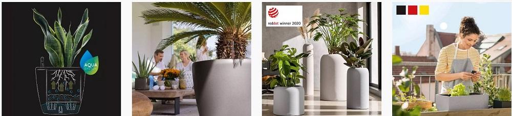 lechuza-voucher-code