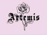  artemis-accessories